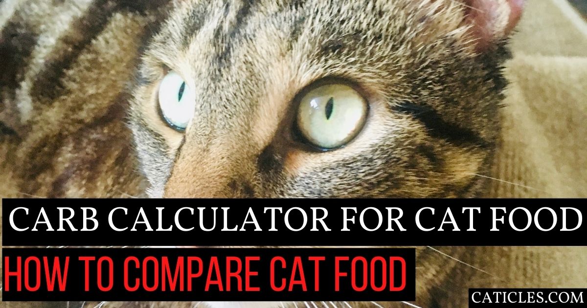 Carb calculator for cat food [dry matter]