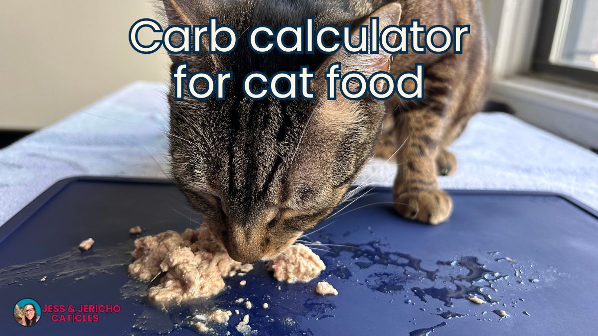 cat food carb calculator jess and jericho caticles