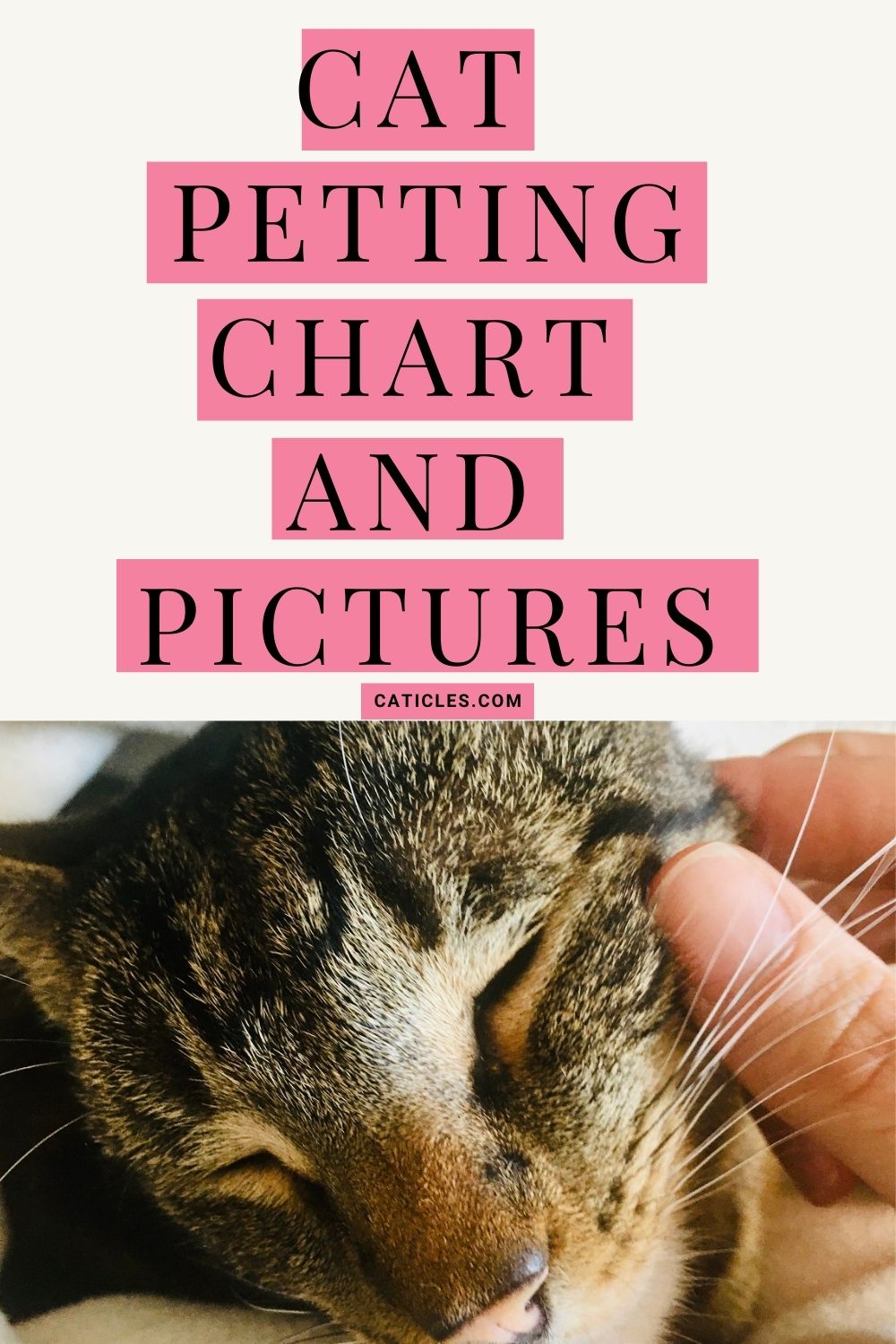 pin image cat petting chart and pictures
