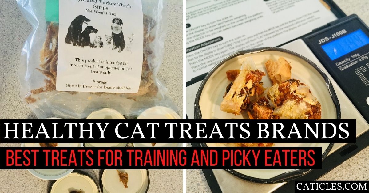 Healthy cat treats that are actually appropriate for cats