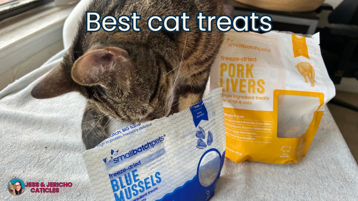 healthy cat treats jess and jericho caticles
