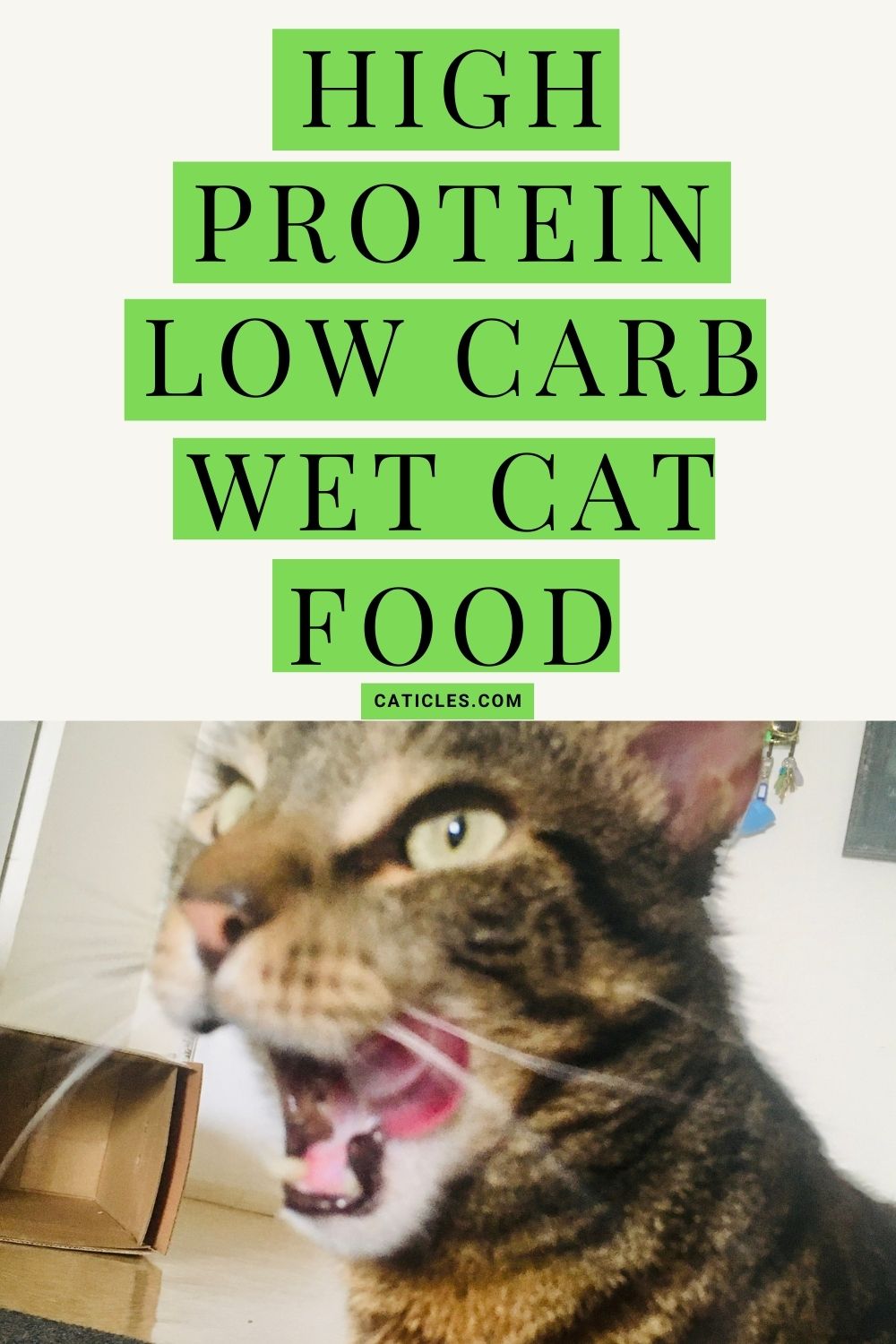 pin image high protein low carb wet cat food