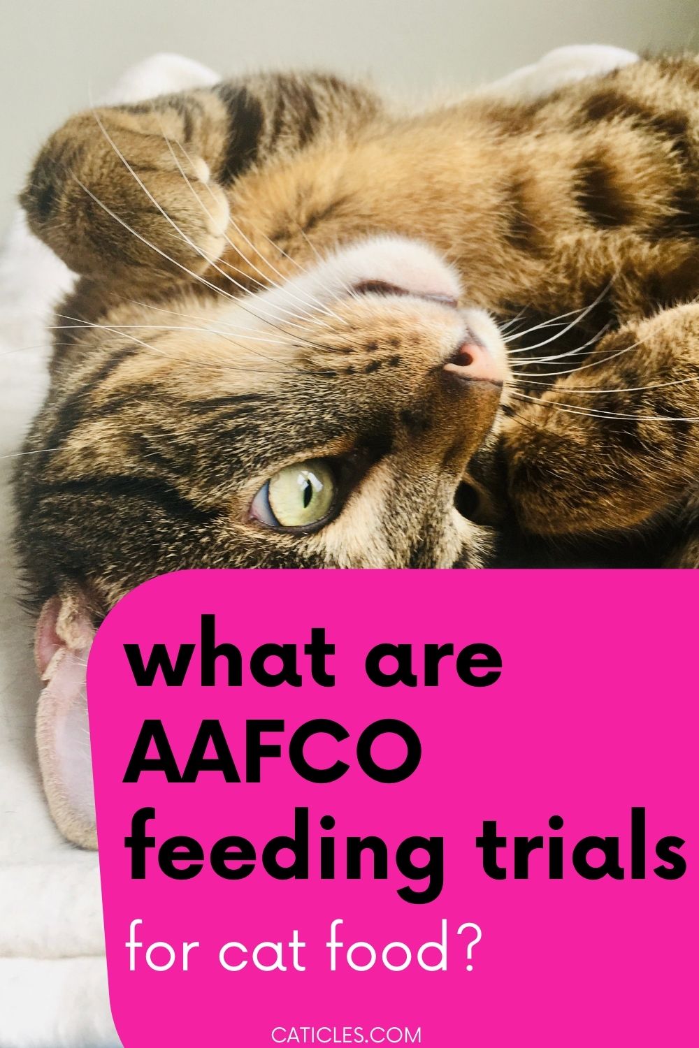 what are aafco feeding trials for cat food pin image