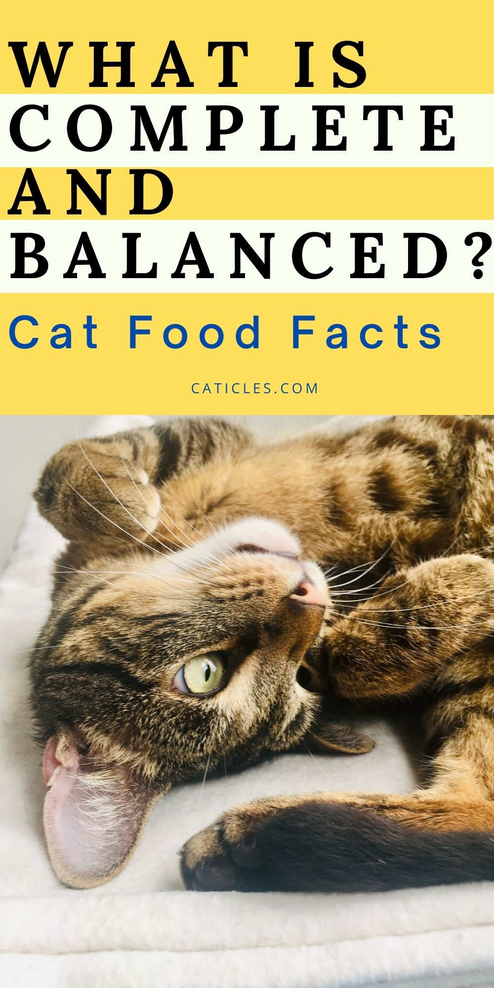 complete and balanced cat food facts pin image