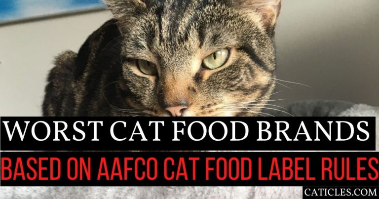 worst cat food brands featured image