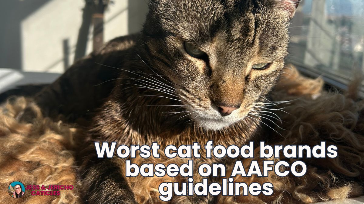 worst cat food brands jess caticles