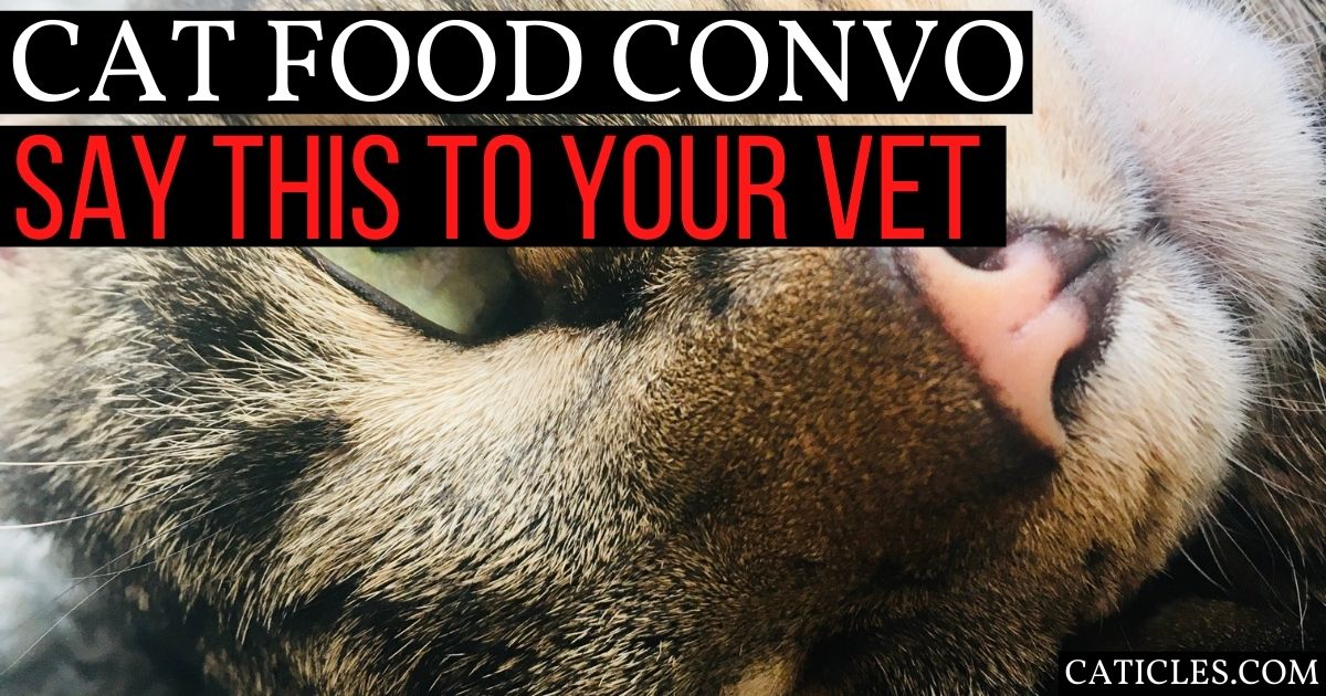 cat food convo with vet featured image