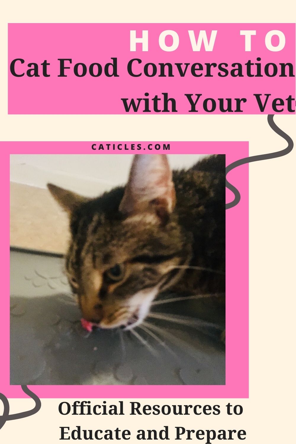 cat food conversation with vet pin image