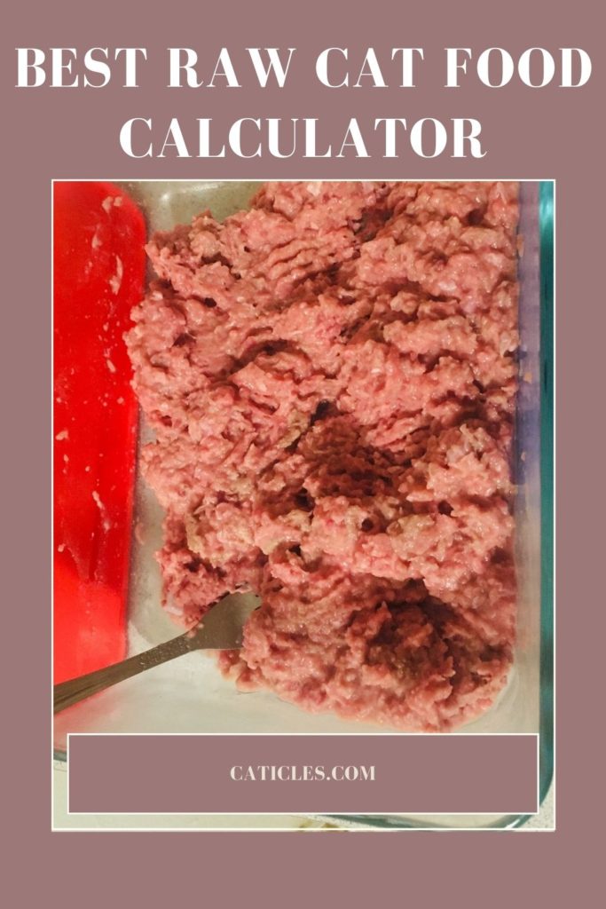 Raw Cat Food Calculator How Much to Feed and Cost of Raw