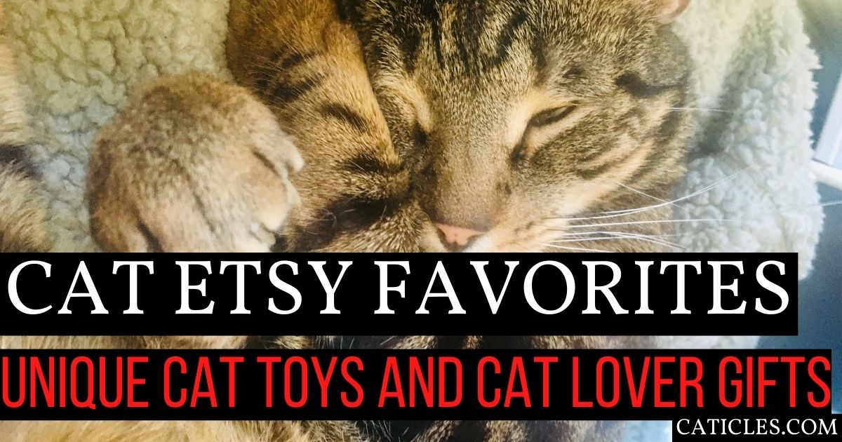 cat etsy favorites featured image