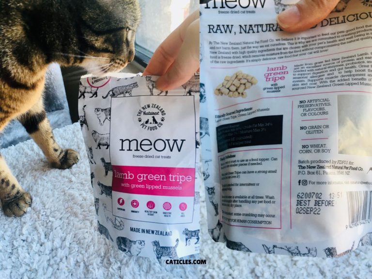 Best Cat Food Brands Healthiest Foods I Use and