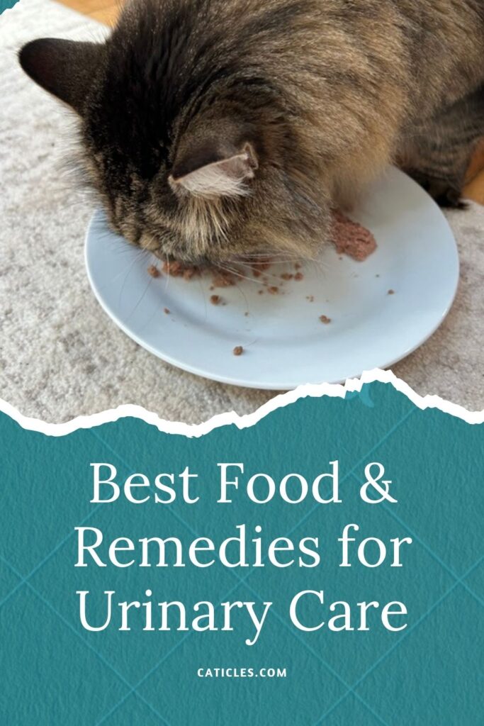 best cat food for urinary health jess and jericho caticles.com