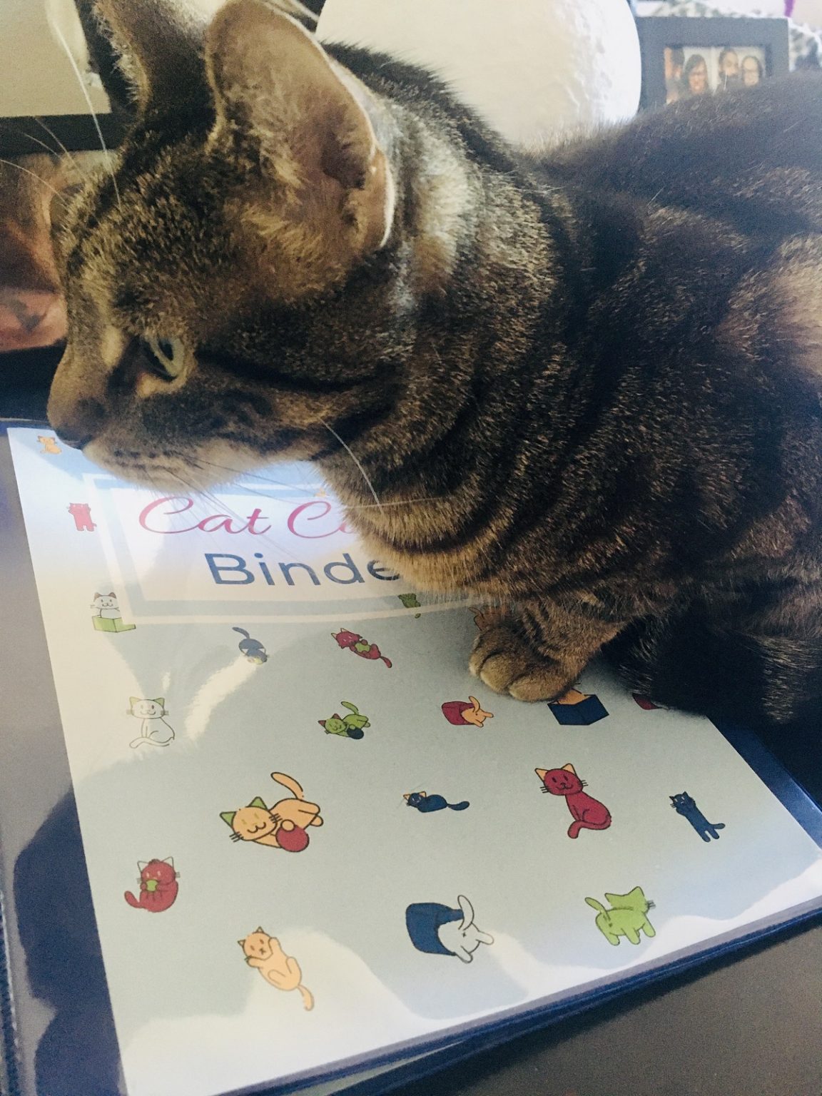 Cute Cat Care Binder Printables DIY Records Organization