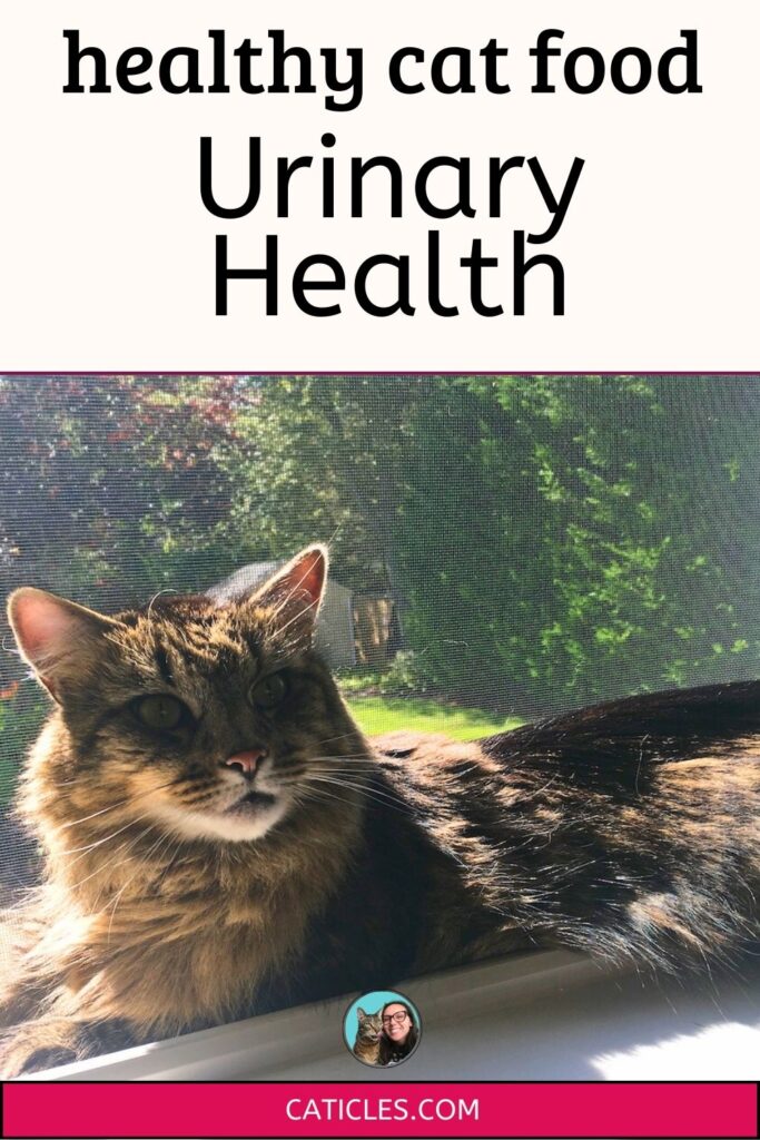 healthy cat food urinary health jess caticles