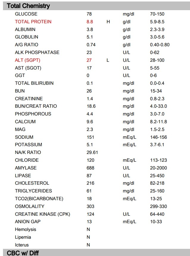 routine vet care bloodwork