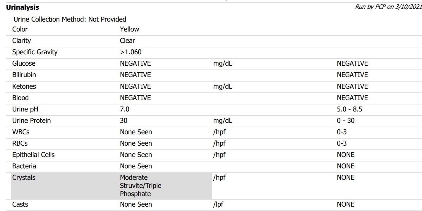 urinalysis routine vet care