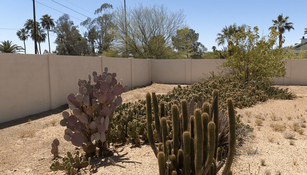 arizona vrbo house frontyard