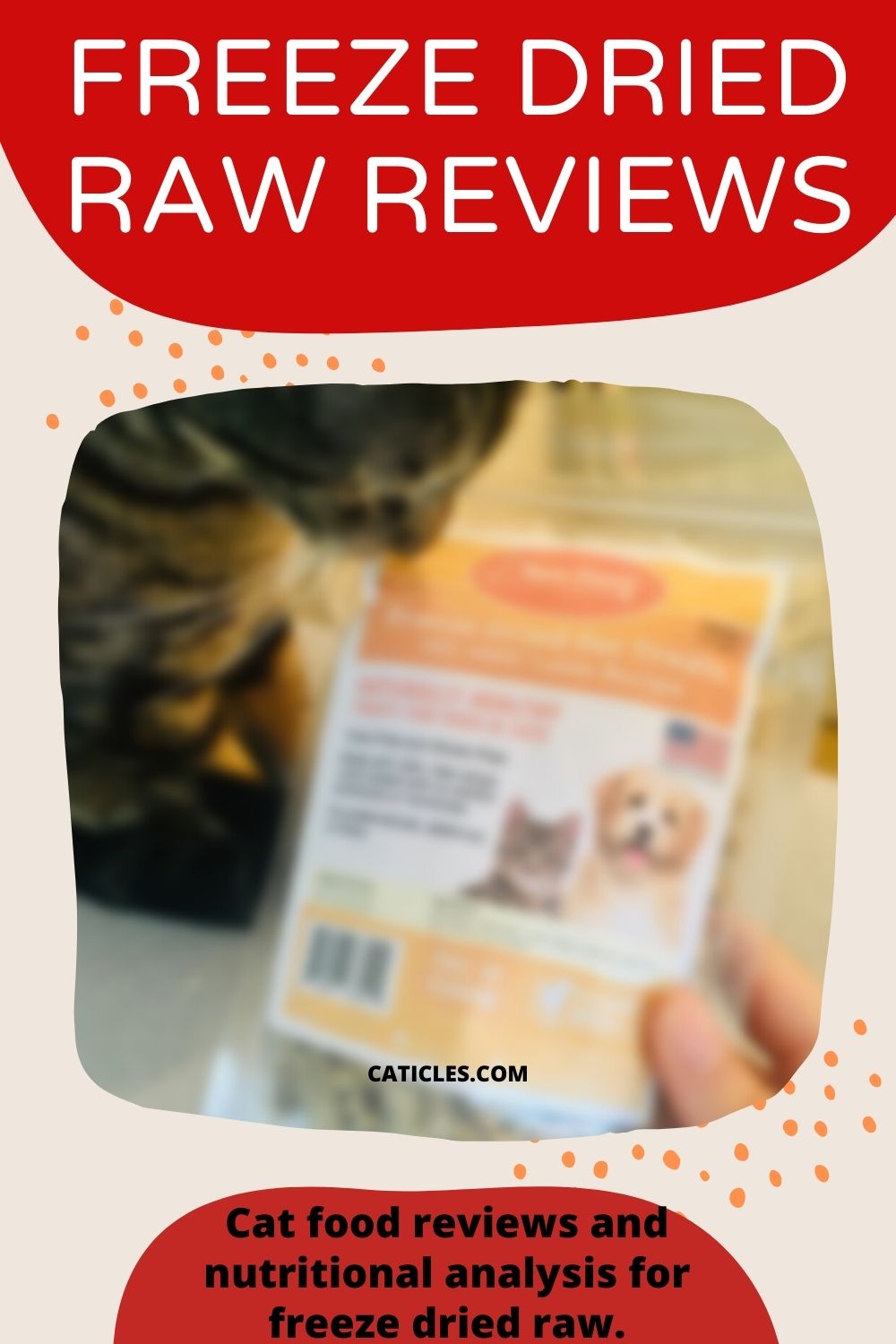freeze dried raw cat food reviews pin image