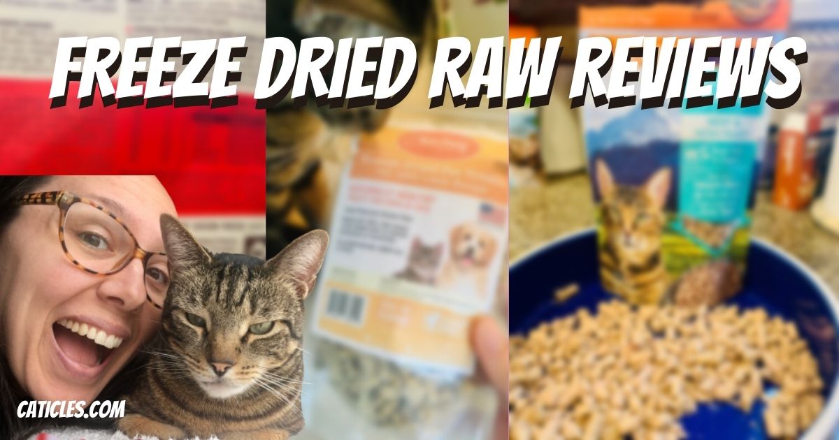 Freeze Dried Cat Food Reviews and Nutritional Analysis