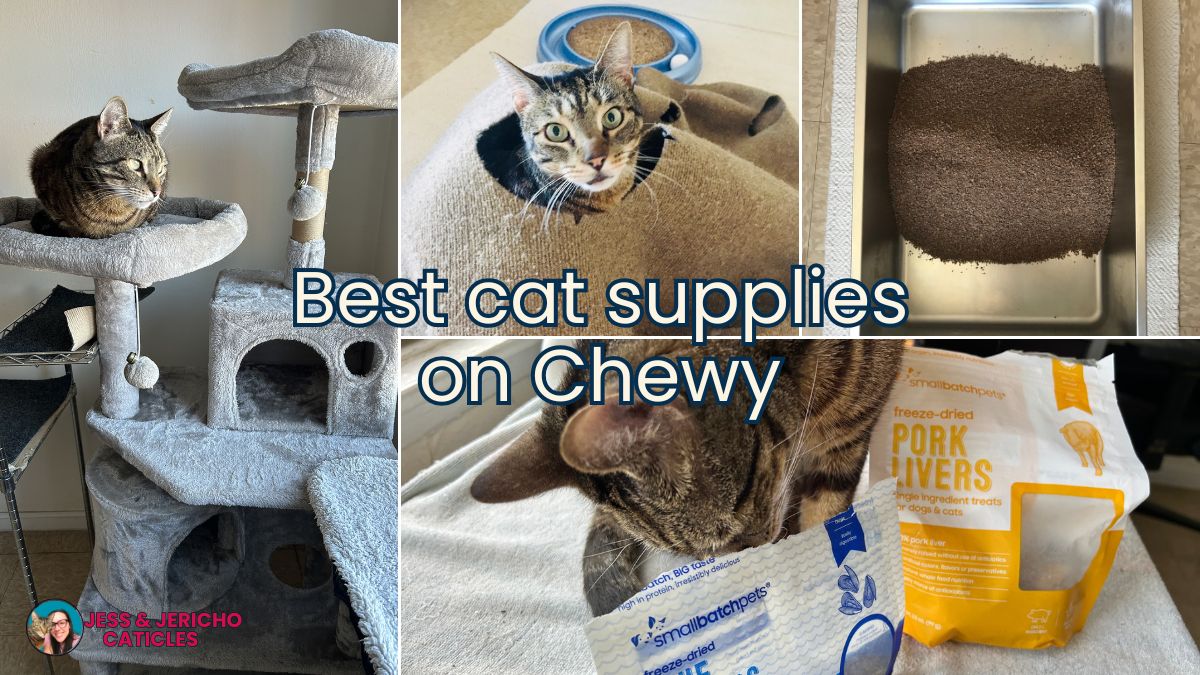 best cat supplies on chewy jess and jericho caticles