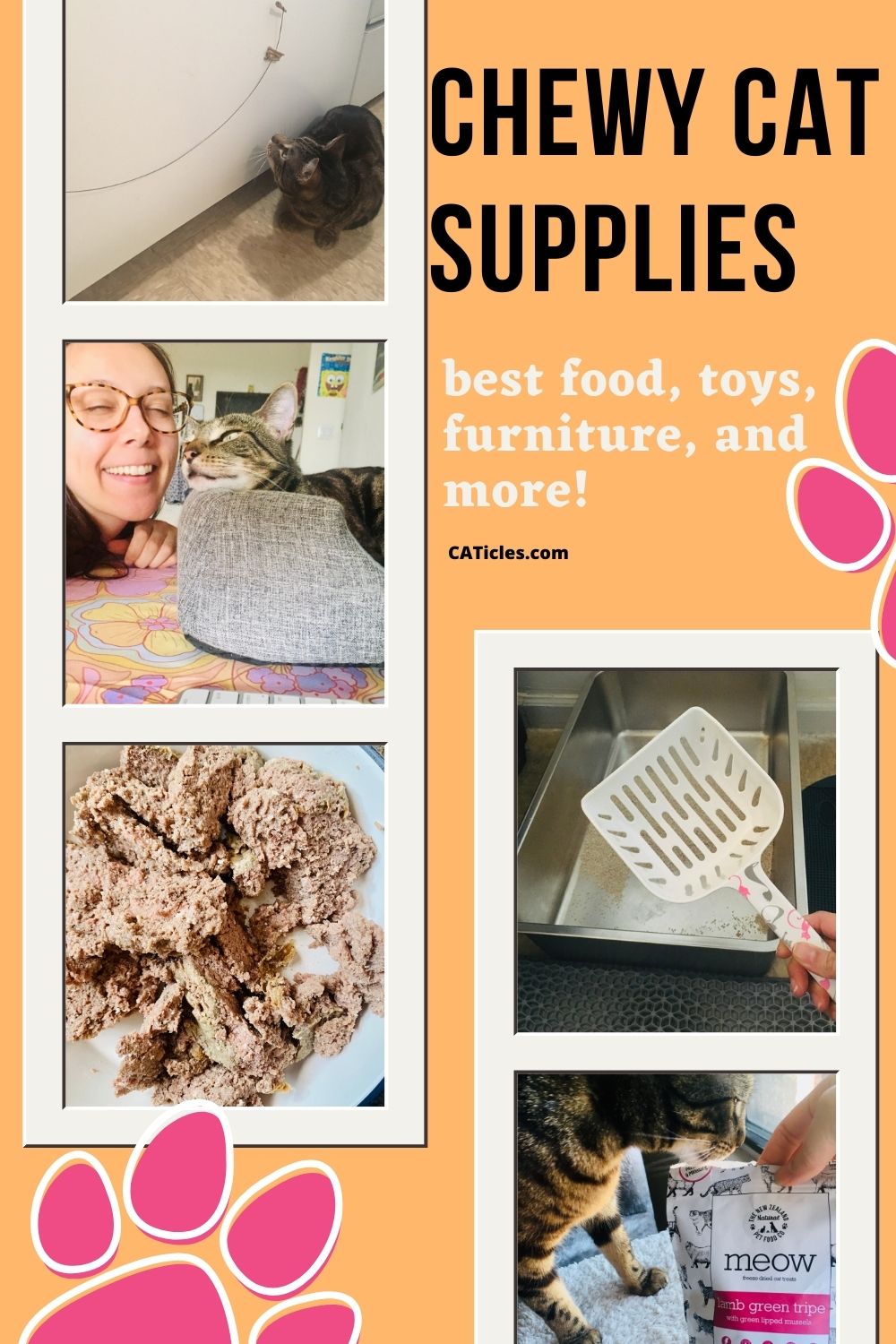 best chewy cat supplies pin image