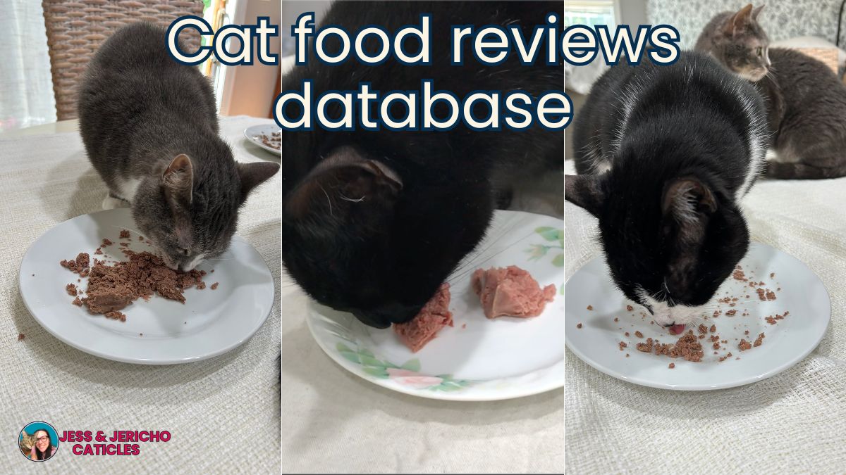 cat food reviews database raw wet freeze dried dry jess and jericho caticles.com