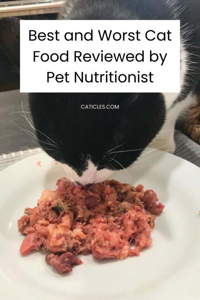 Best and Worst Cat Food Reviewed by Pet Nutritionist jess and jericho caticles.com