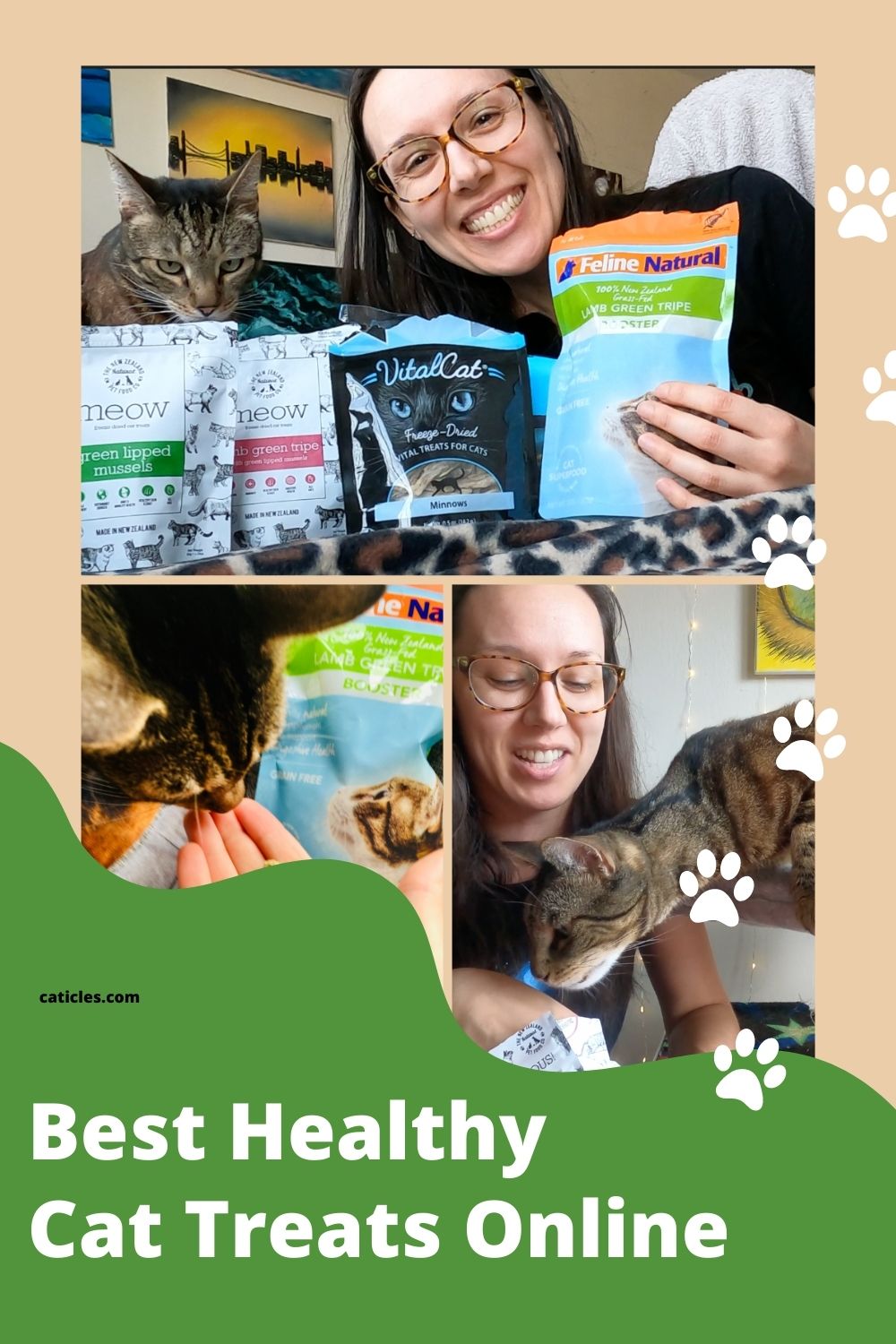 Healthy cat treats you can buy online Jess Caticles