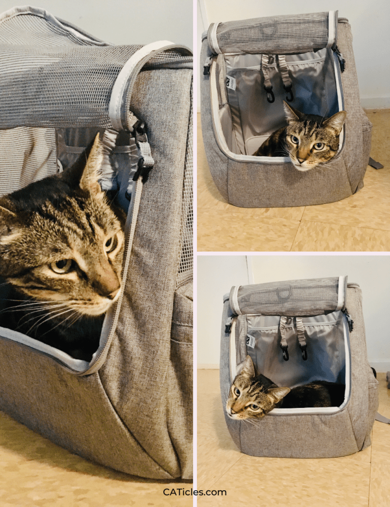your cat backpack