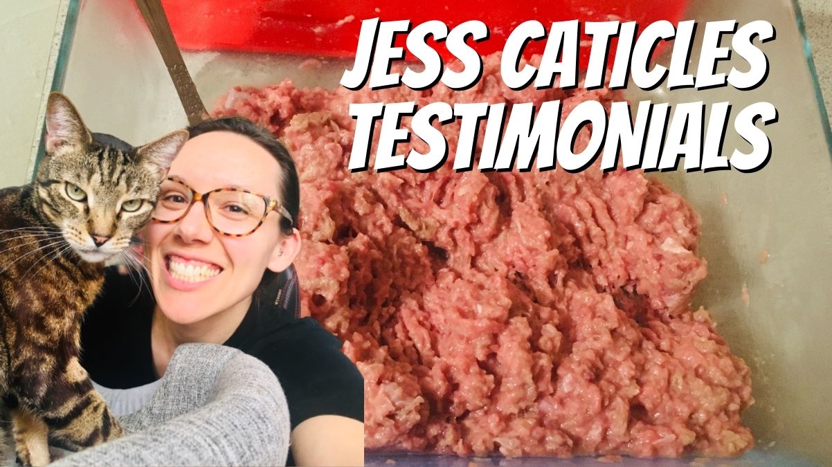 jess caticles testimonials