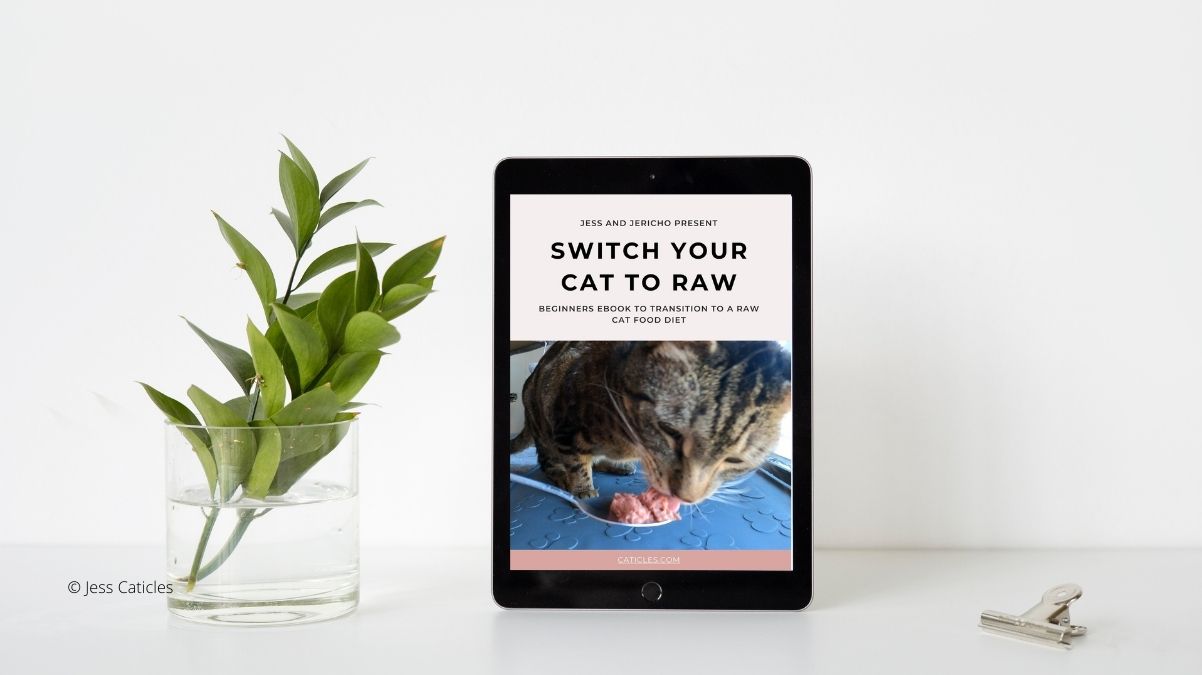 switch to raw ebook jess caticles