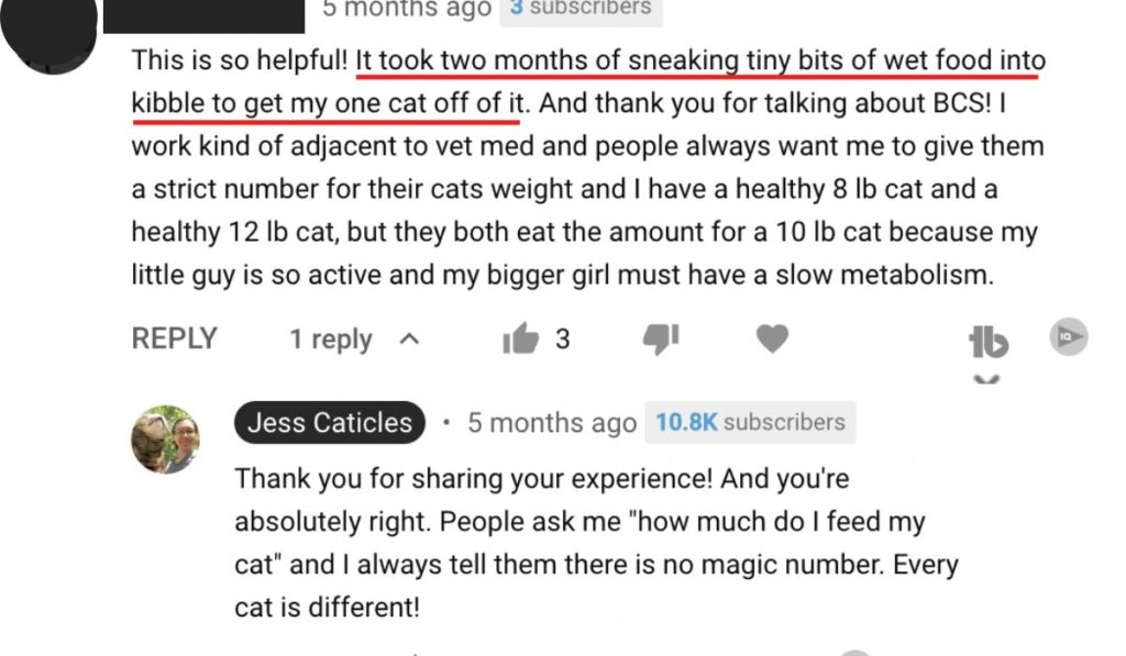 cat testimonials youtube