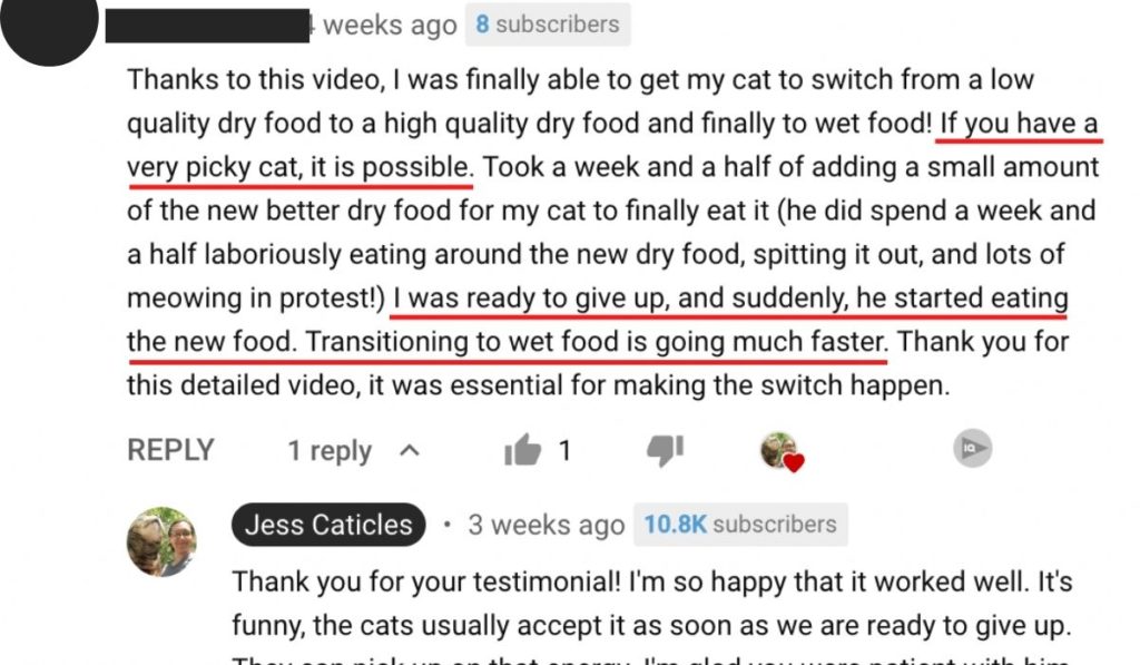 cat testimonials youtube