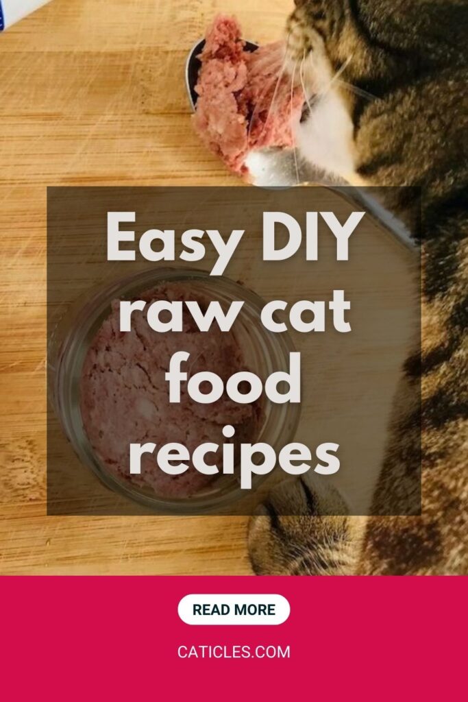 easy diy raw cat food recipes hare today jess and jericho caticles.com