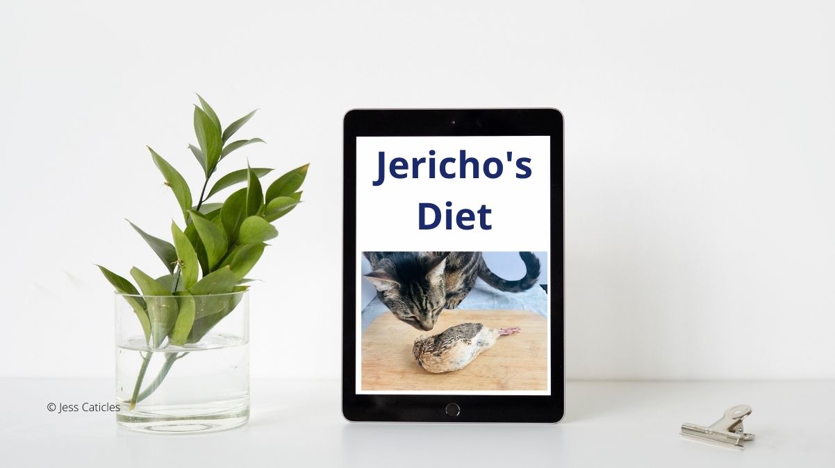 Jericho’s Diet Timeline