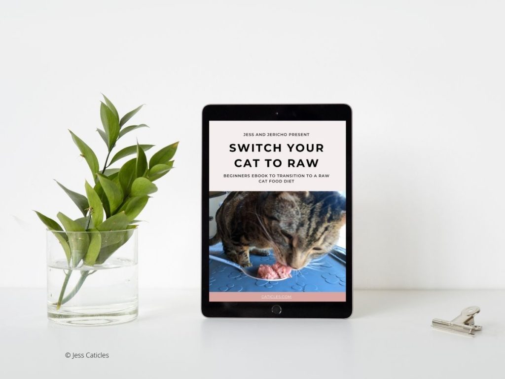 switch your cat to raw ebook jess caticles