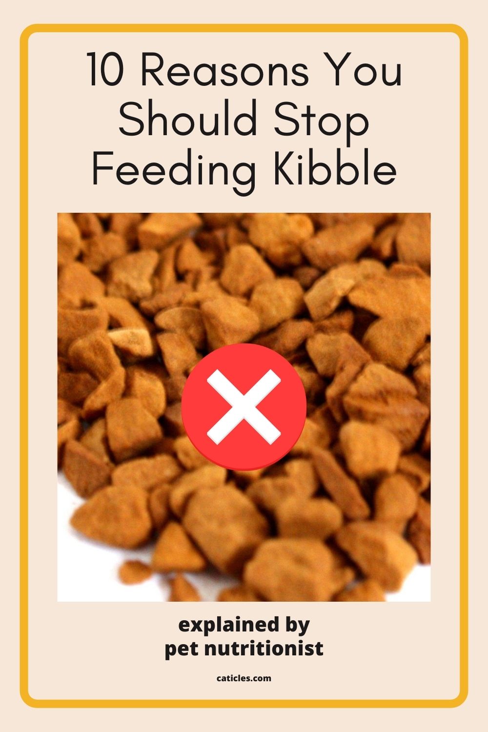 Can cats live on dry food only? 10 facts Jess Caticles