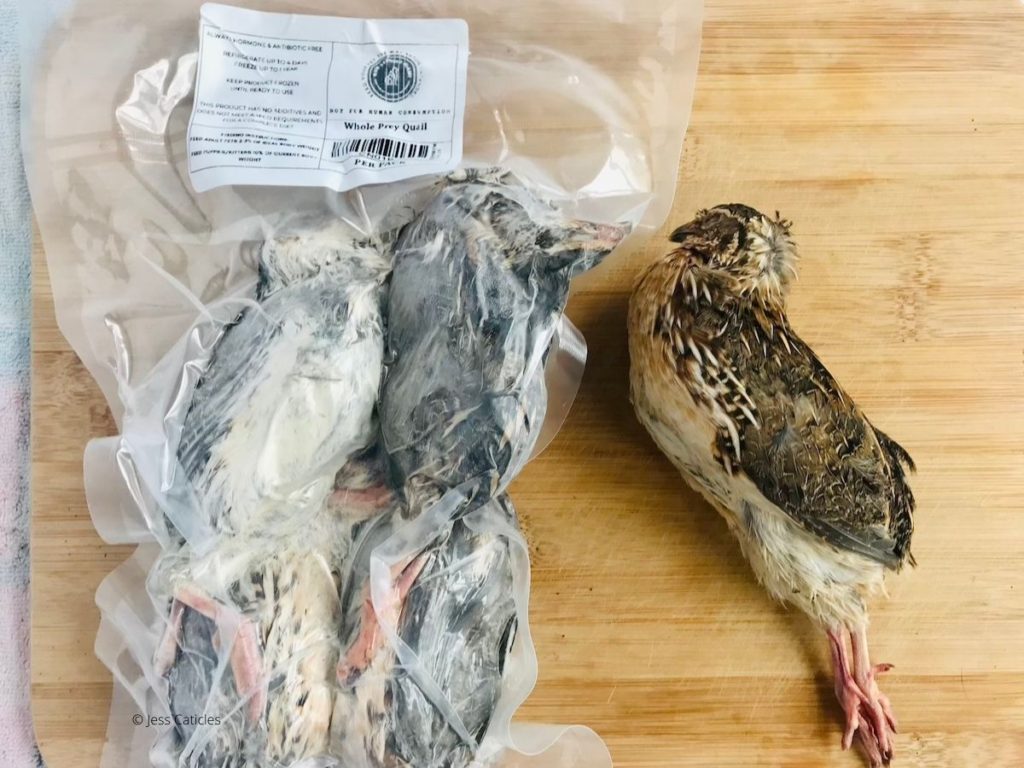 raw feeding miami whole quail