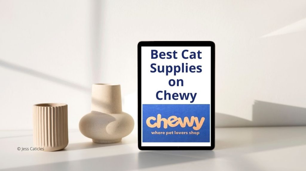 best cat supplies on chewy