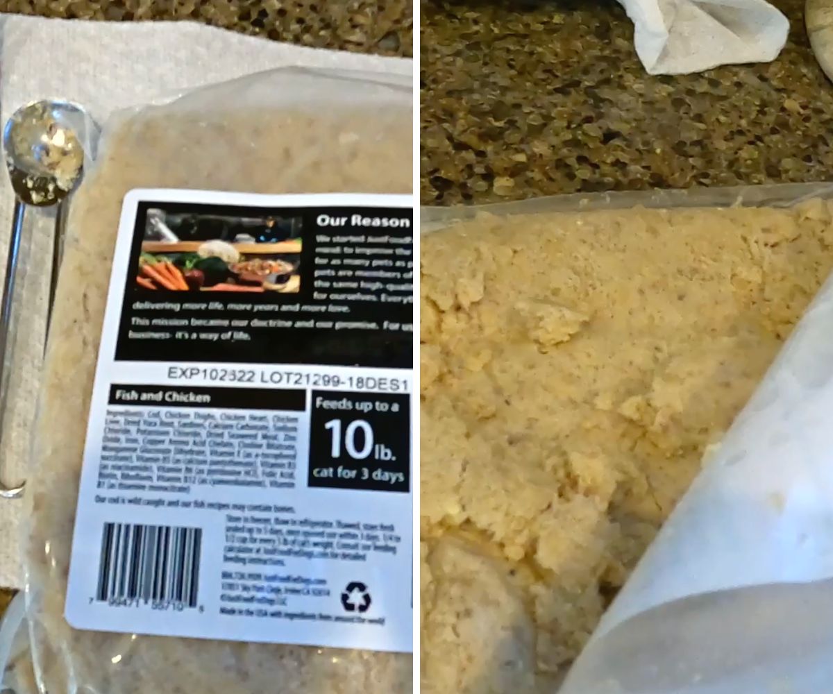 Just Food for Cats Review Jess Caticles