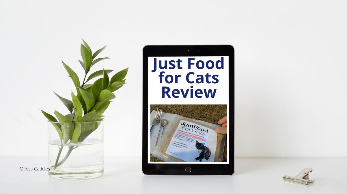 Just Food for Cats Review