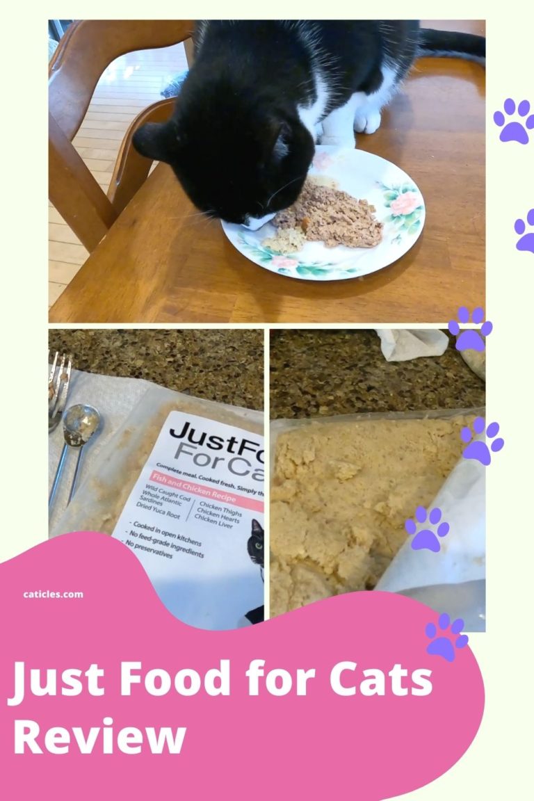 Just Food For Cats Review - Jess Caticles