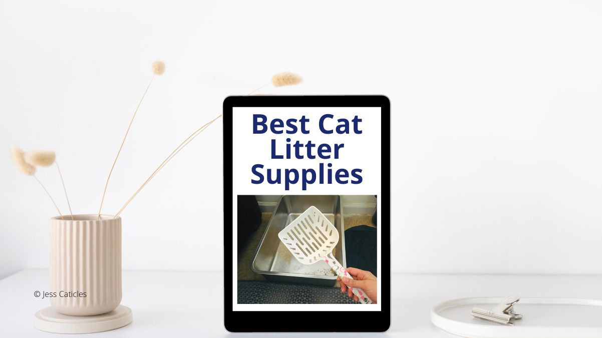Best Cat Litter Supplies