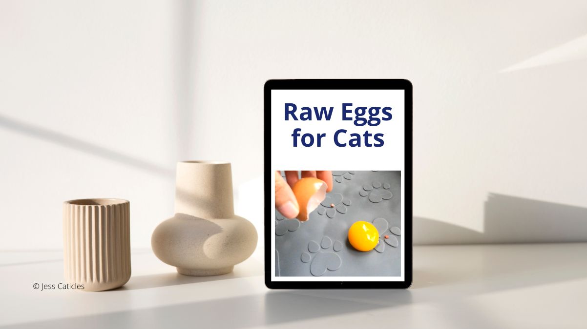 Raw Eggs for Cats