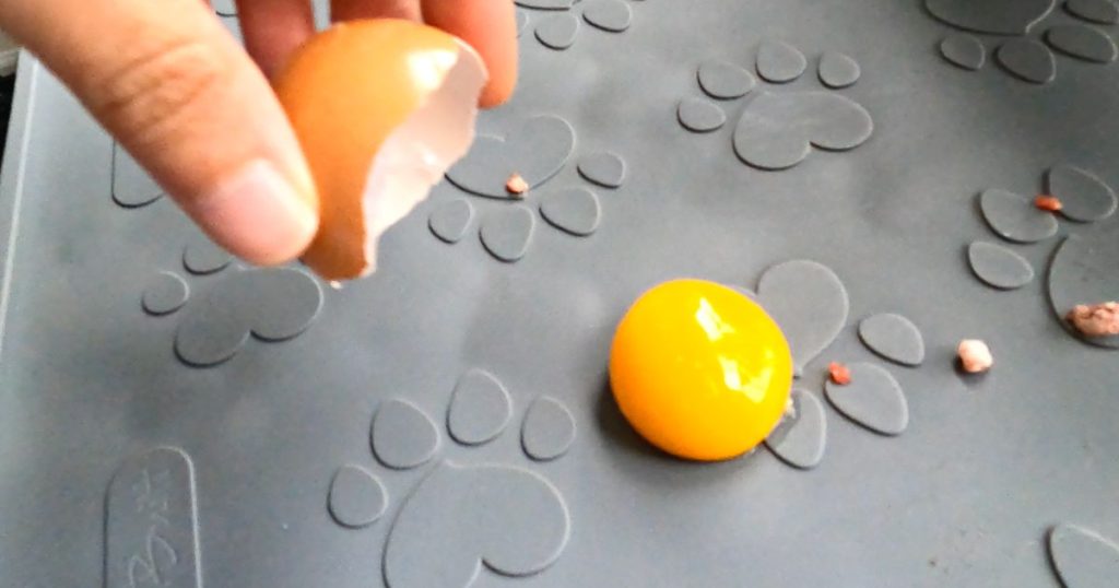 raw egg yolk on food mat