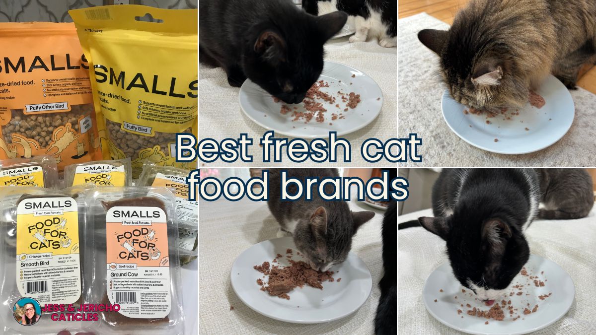 smalls wet and freeze dried food review jess and jericho caticles