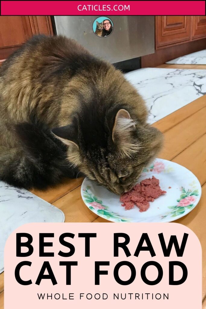 best raw cat food whole food nutrition for cats jess caticles