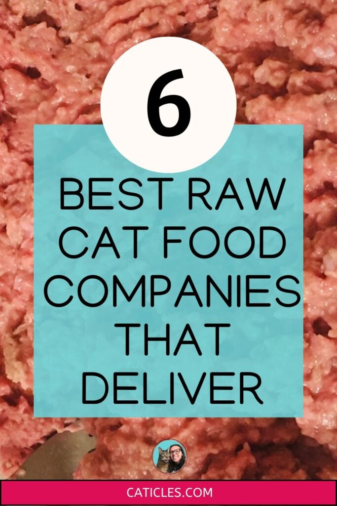 6 best raw cat food companies that deliver jess caticles