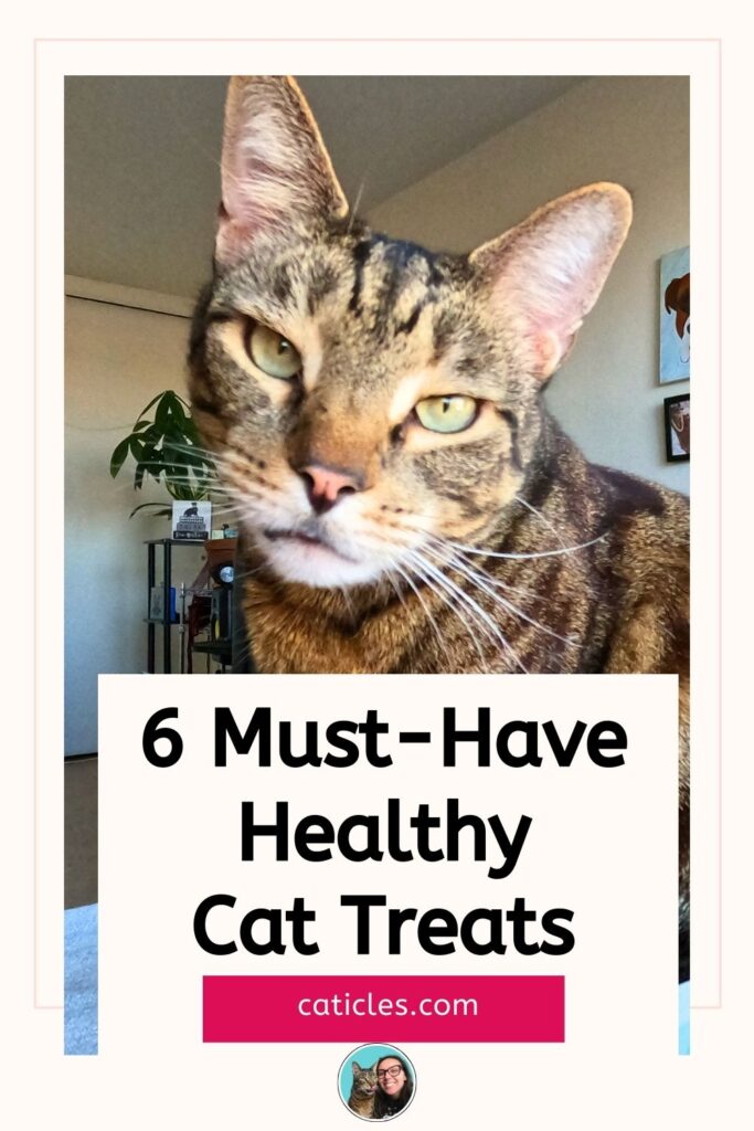healthy cat treats jess caticles