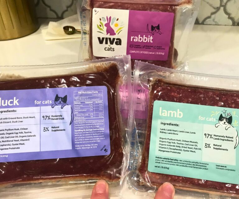 Viva Raw Discount & Cat Food Review - Jess Caticles